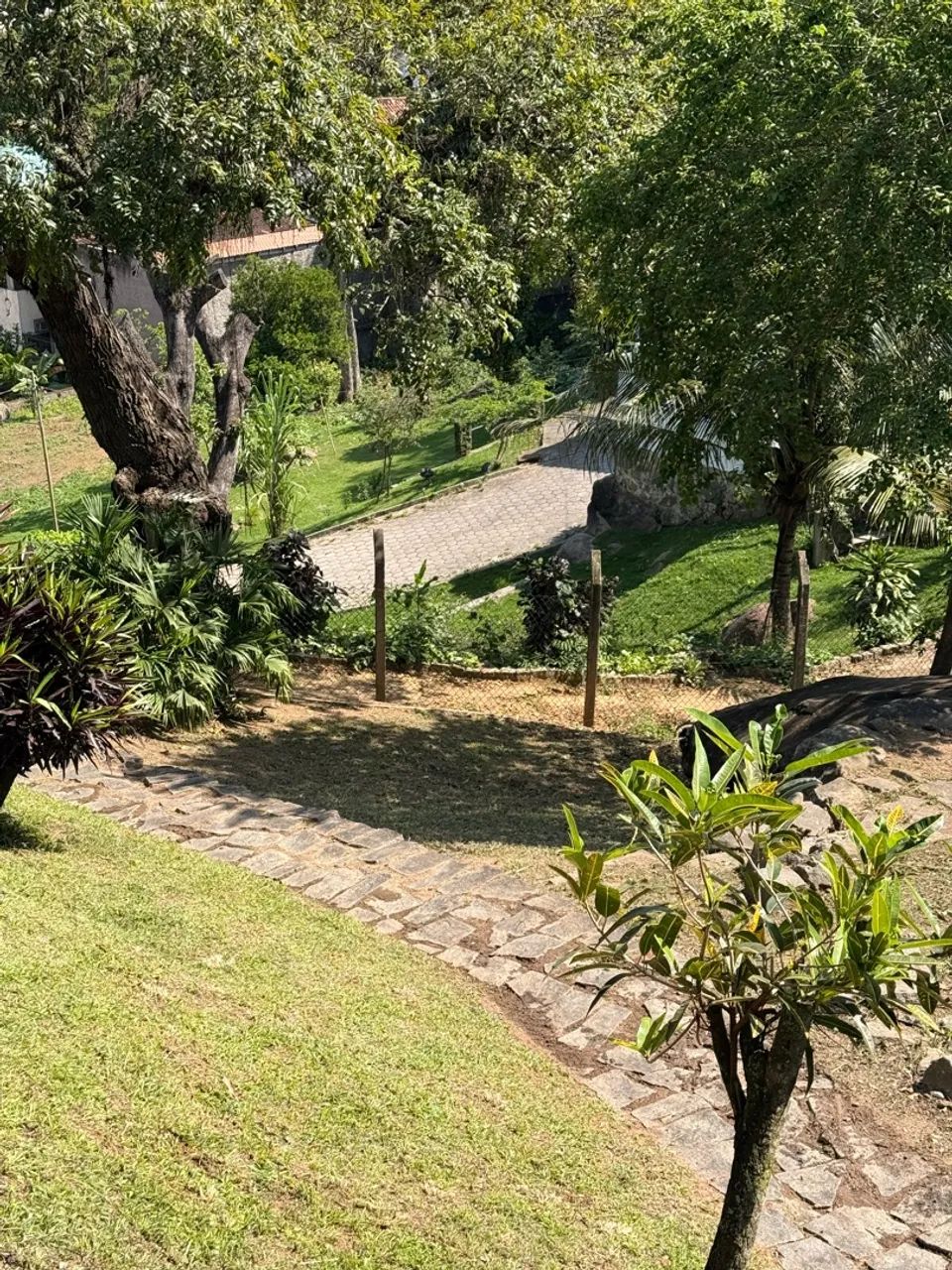 Limpeza e Manutenção de Jardim - Foto 2