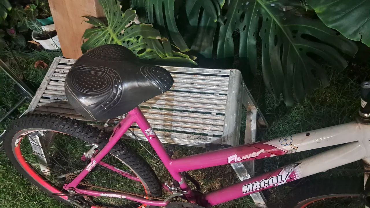 Bicicleta  - Foto 2