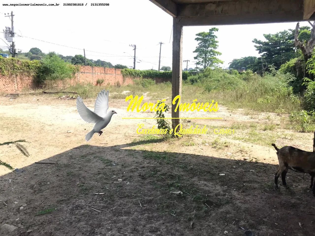 Terreno para Venda em Belford Roxo, Maringá - Foto 5
