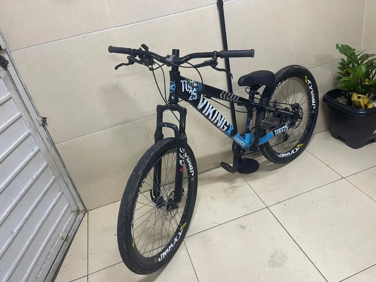 Vikingx toda preparada para o grau - Foto 4