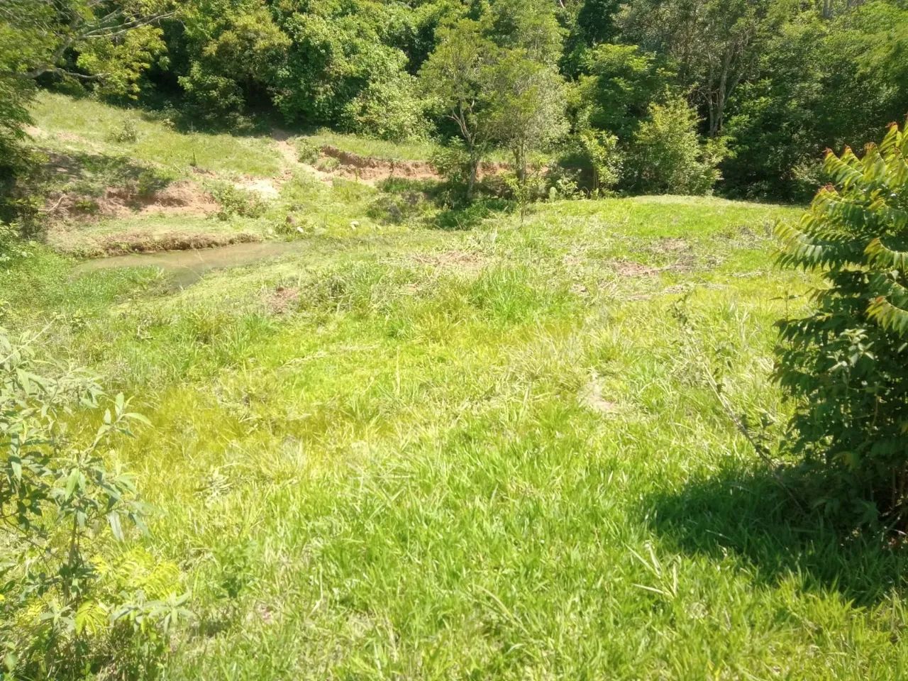 Sítio no bairro da Sabiaúna (( Itapetininga)) com ((1.5 alqueires e meio)) moradia simples - Foto 2