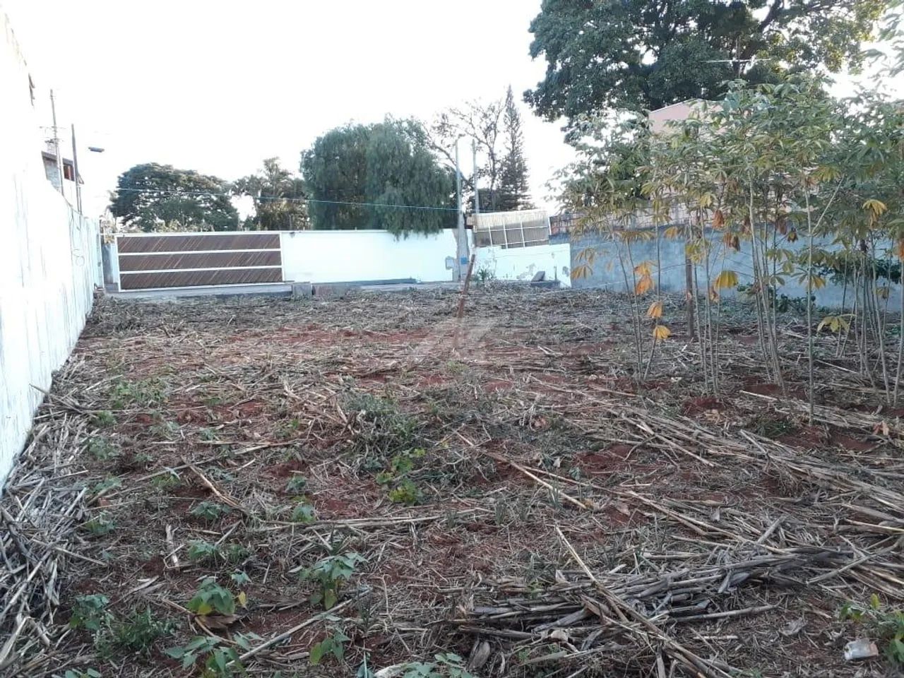 terreno - Cidade Universitária - Campinas - Foto 2