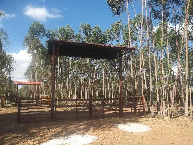 Chácaras em Alexânia - Meio Alqueire -