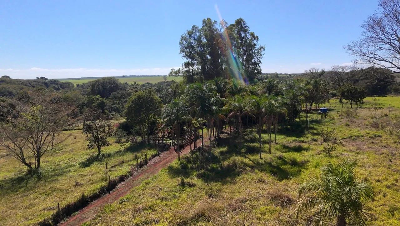 Fazenda. - Foto 5