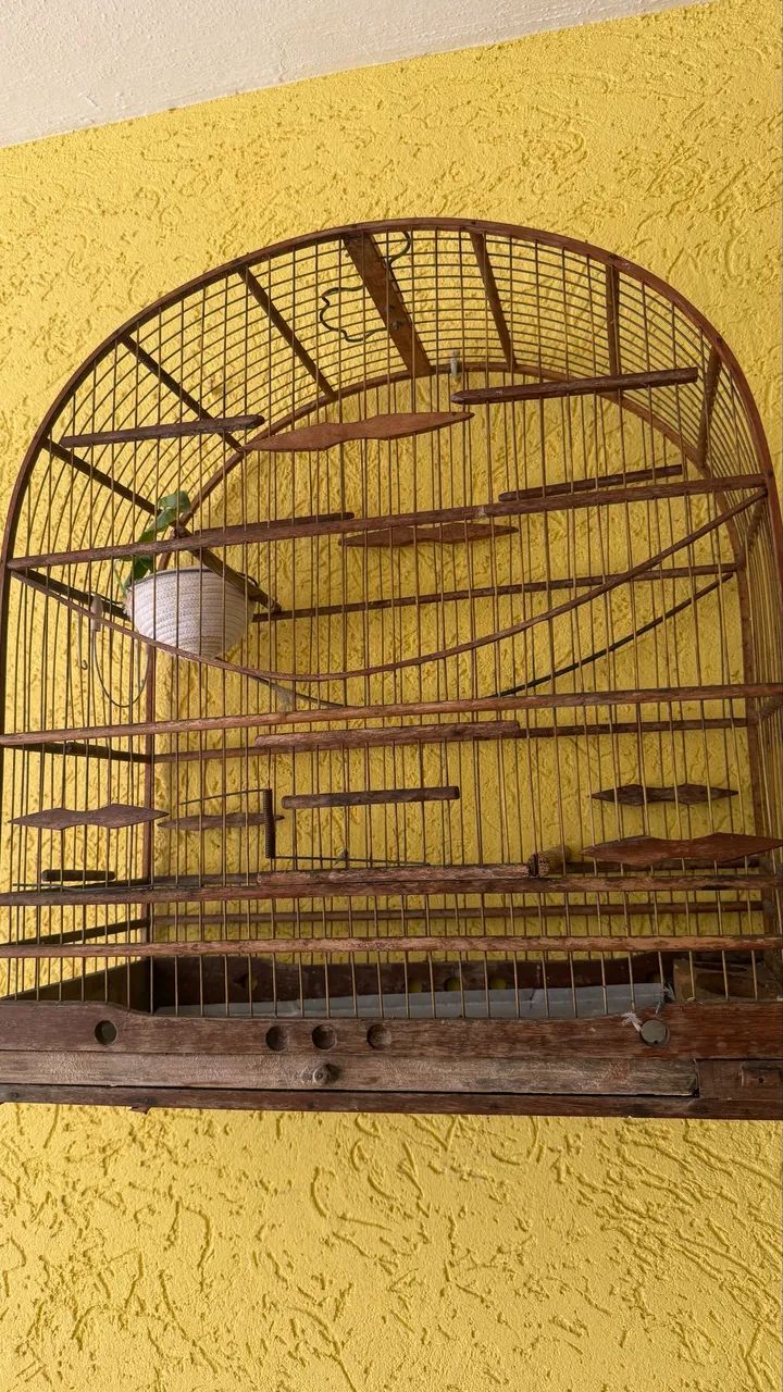Gaiola  - Foto 2