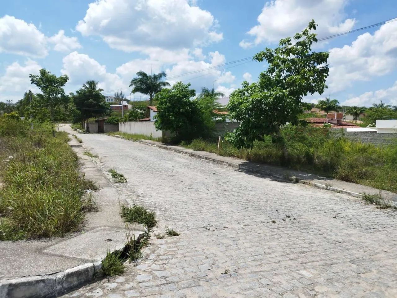 Lote para Venda em Limoeiro, Centro - Foto 2