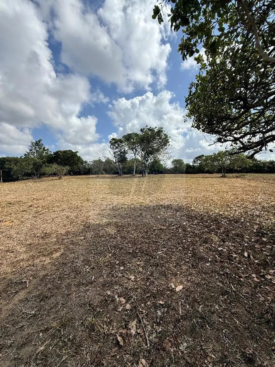 Área na Guabiraba Próximo ao CT do Sport - Foto 3