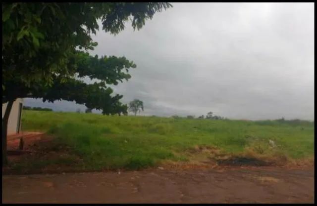 Excelentes Terrenos em Colorado/PR - Foto 5