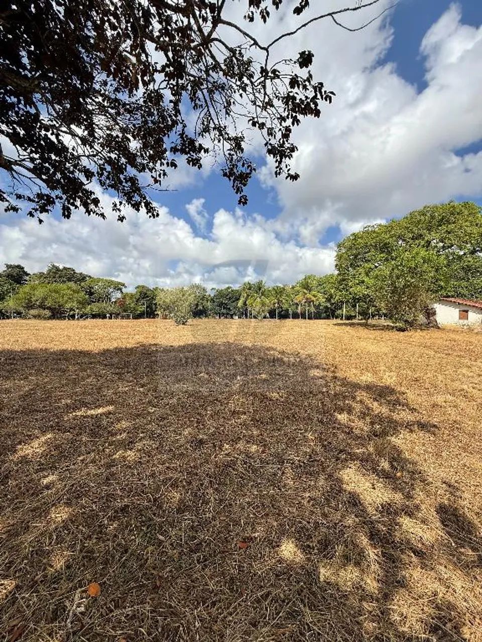 Área na Guabiraba Próximo ao CT do Sport - Foto 2