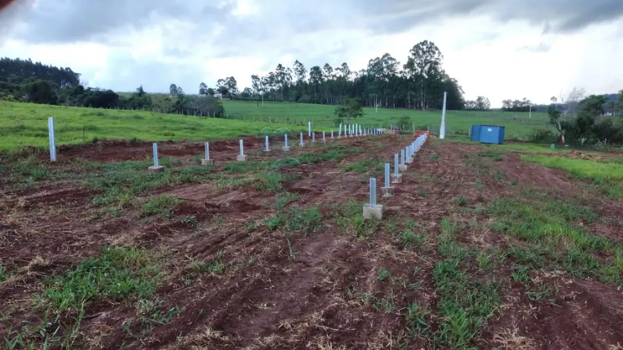 Sítio 2 hectares - Cássia dos Coqueiros - Foto 2