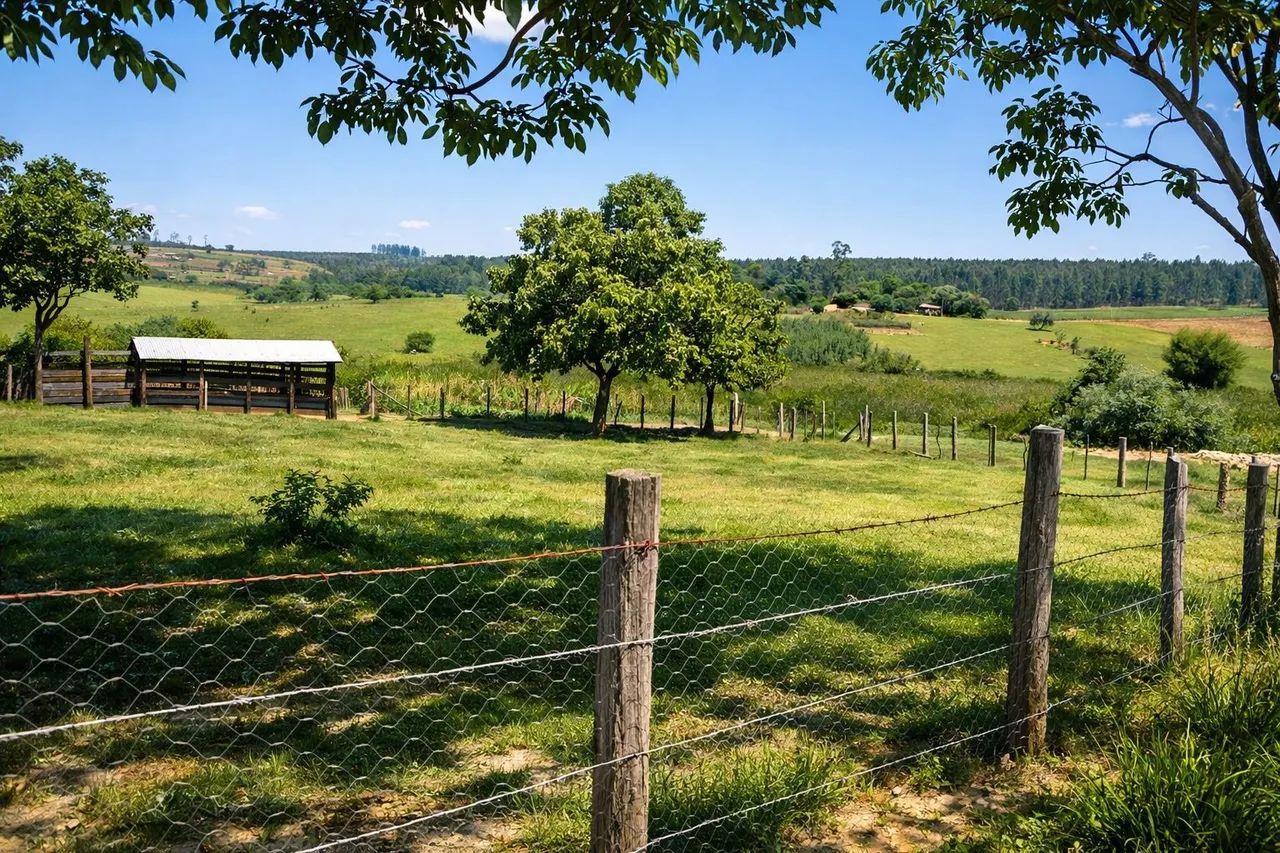 Foto - Salto de Pirapora - Campo Largo