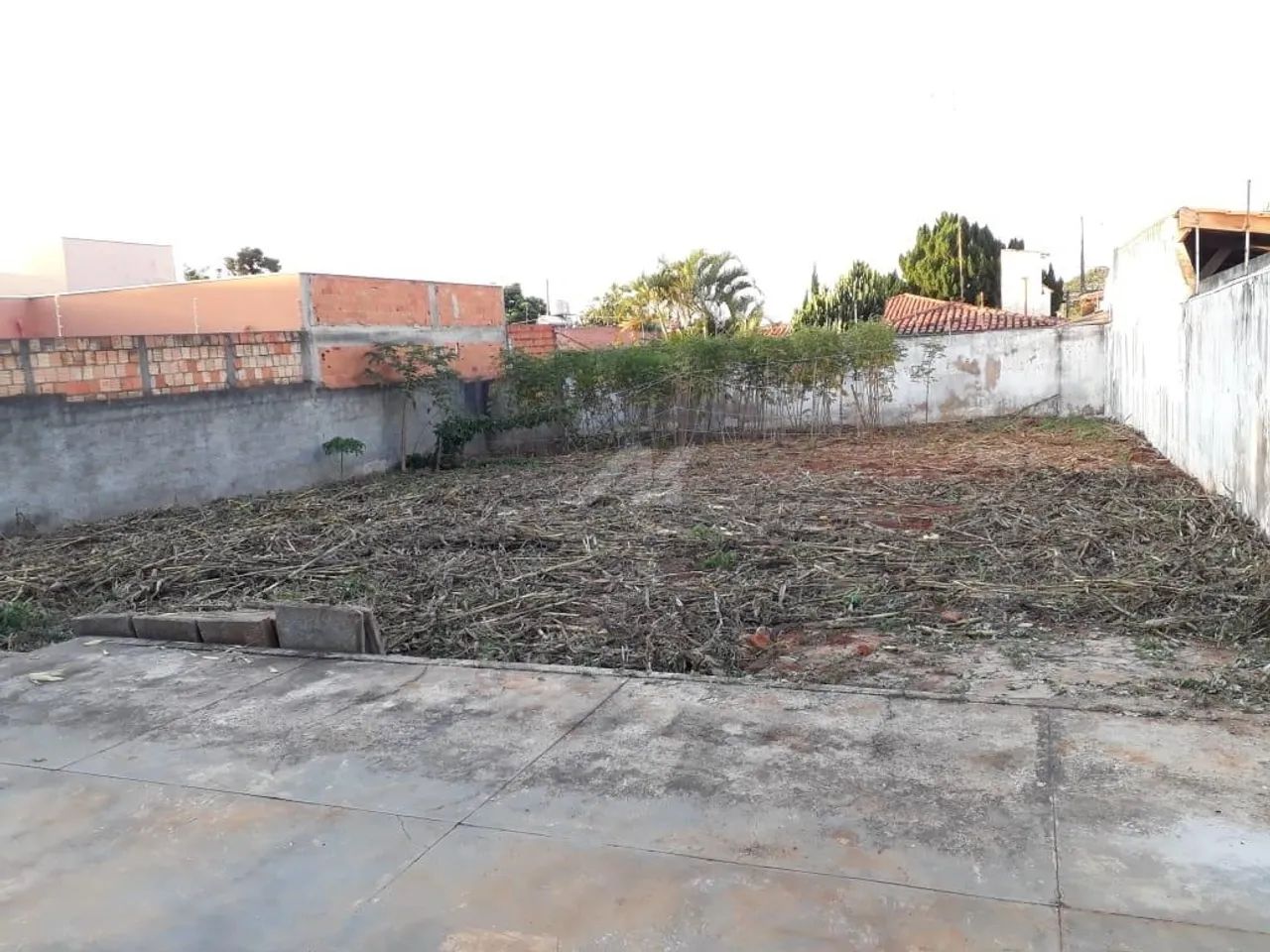 terreno - Cidade Universitária - Campinas