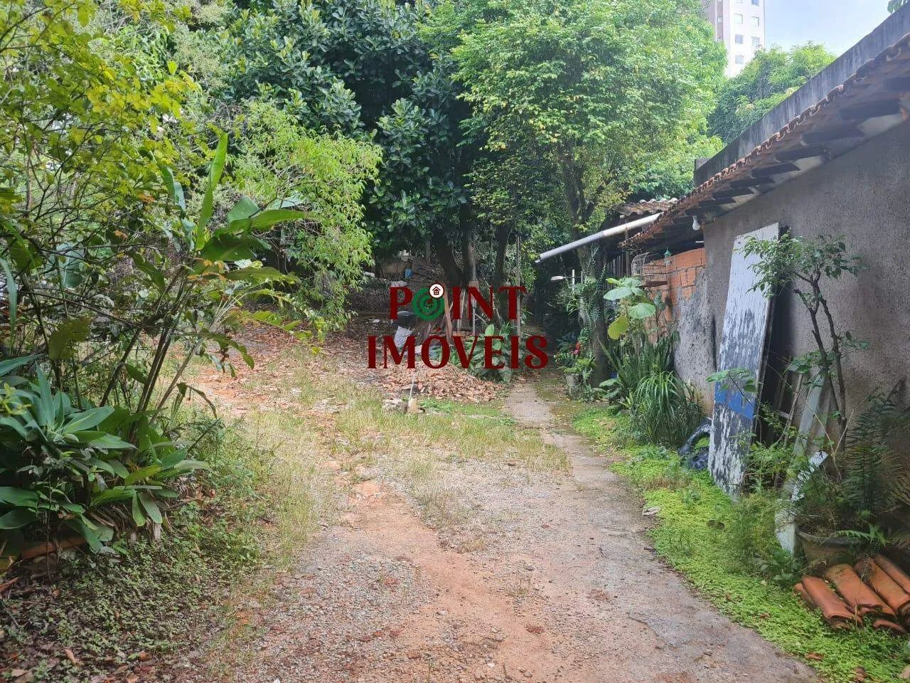 Lote / Terreno - Bairro Palmeiras - Foto 2