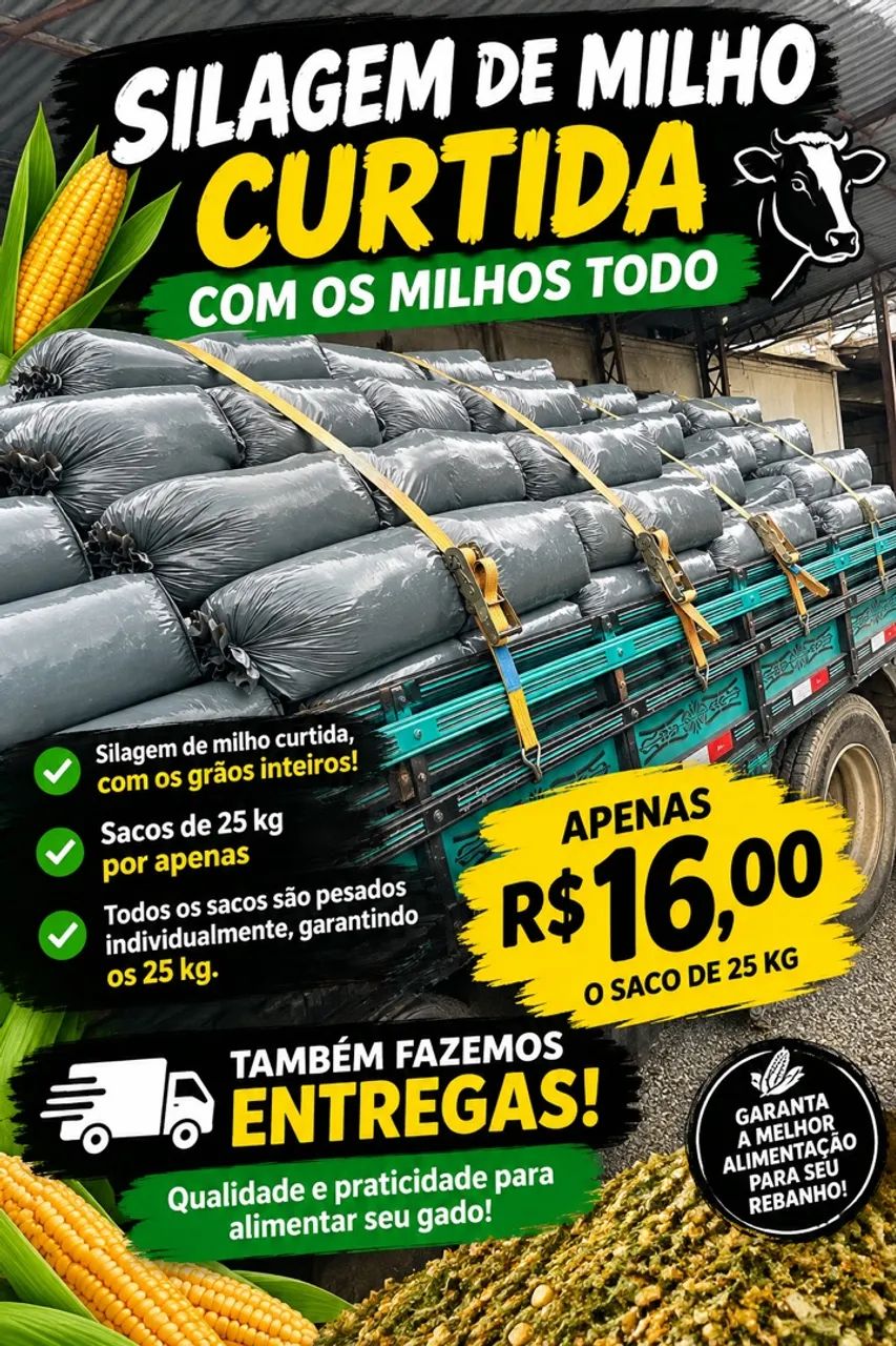 Silagem de milho com grão todo