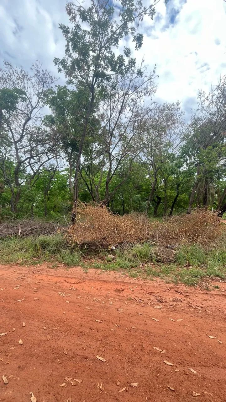 Terreno - Foto 2