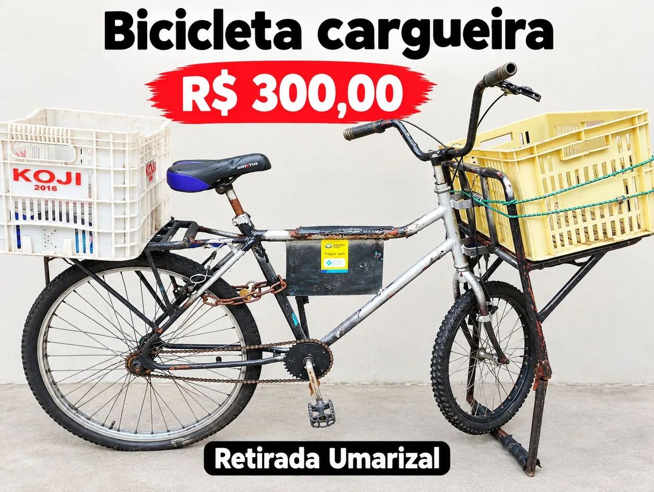 Bicicleta cargueira 