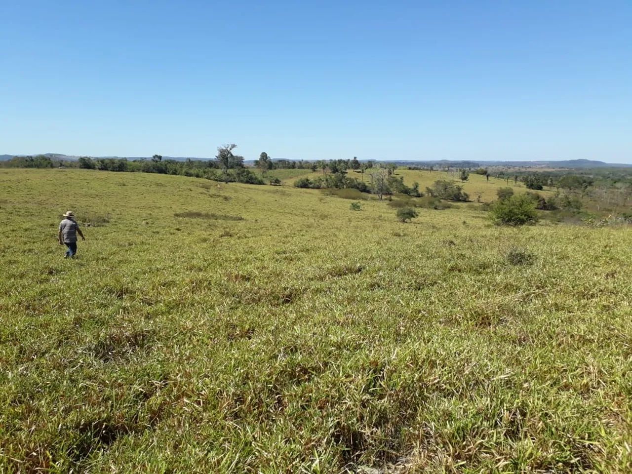 Fazenda em Divinópolis TO - Foto 3