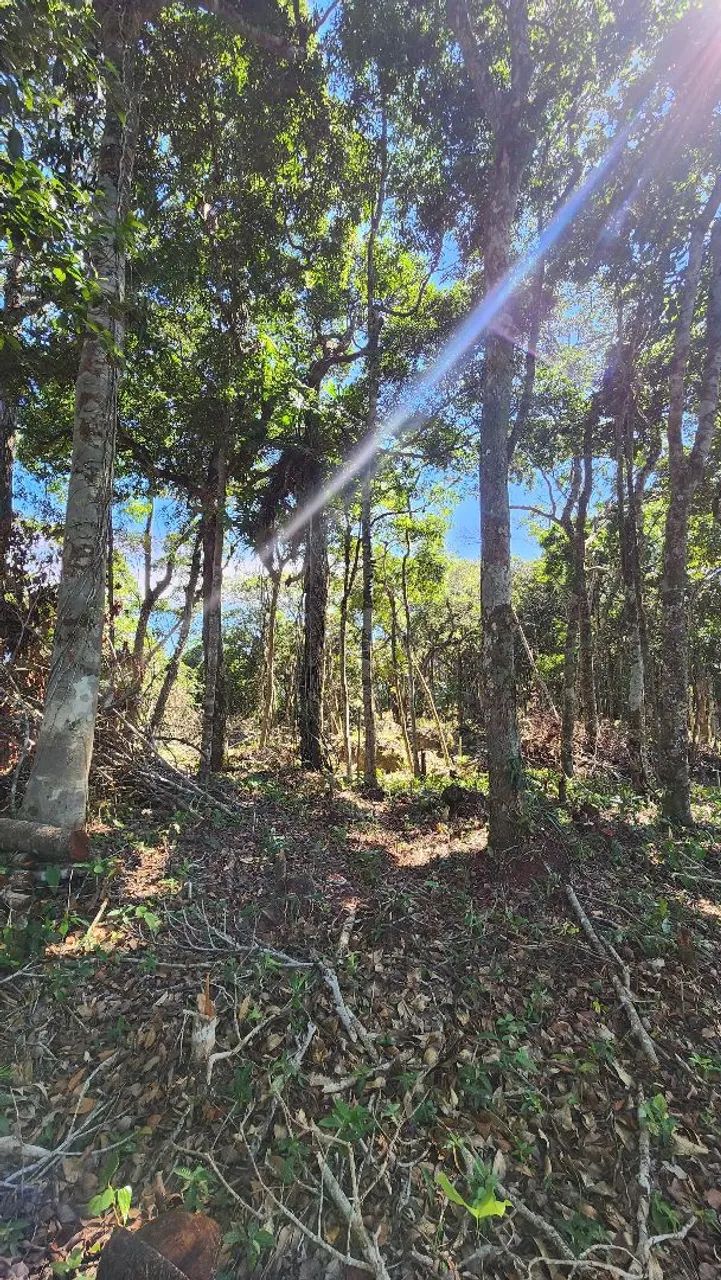 CHÁCARA À VENDA EM CAMBORIÚ - SC - Foto 3