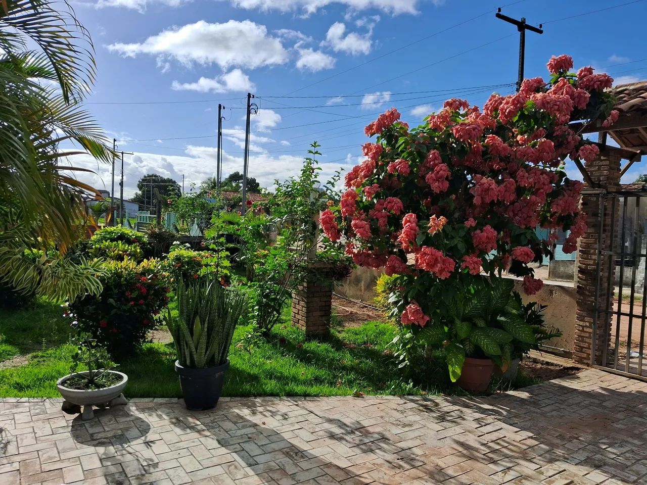 Chácara  - Foto 3