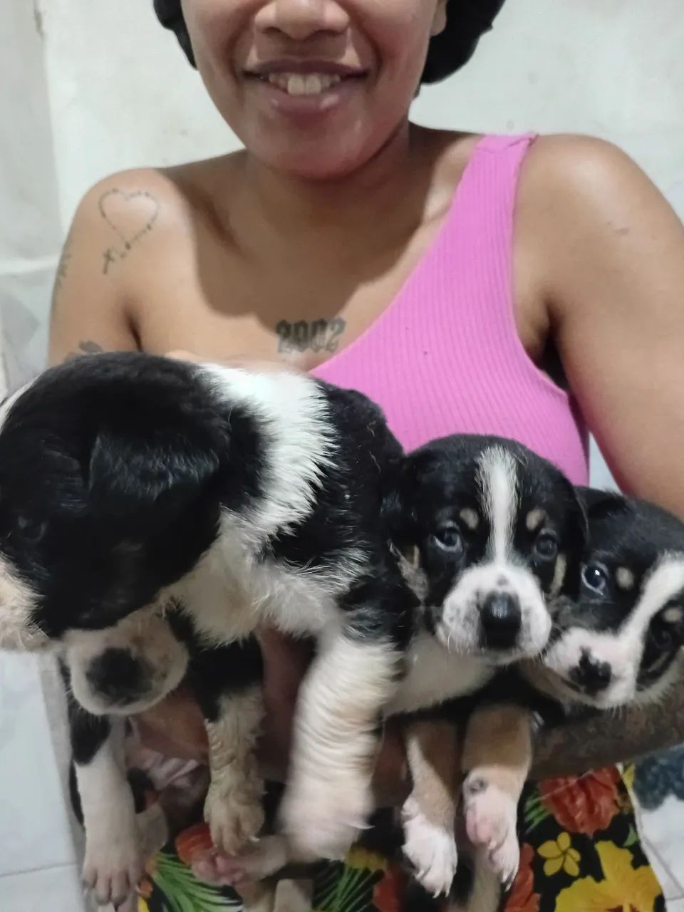 Filhotes doação - Foto 4