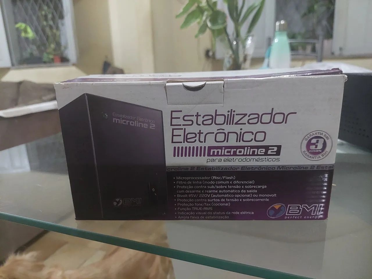 Estabilizador Eletrônico 