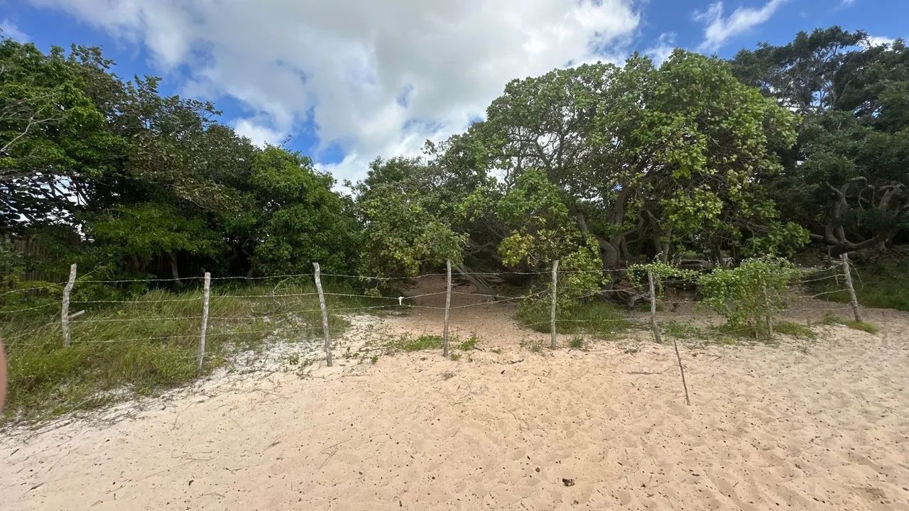Vendo Terreno na Lagoa da Jijoca de Jericoacoara  - Foto 5
