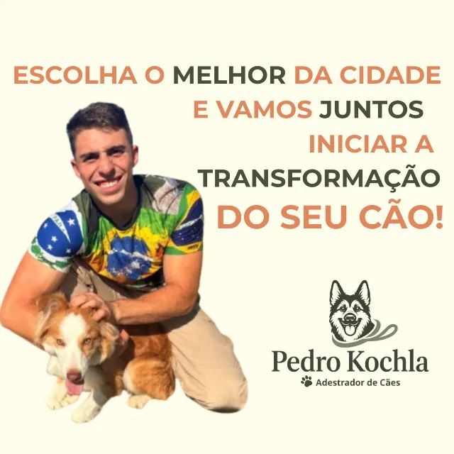 Adestrador de cães em Curitiba 