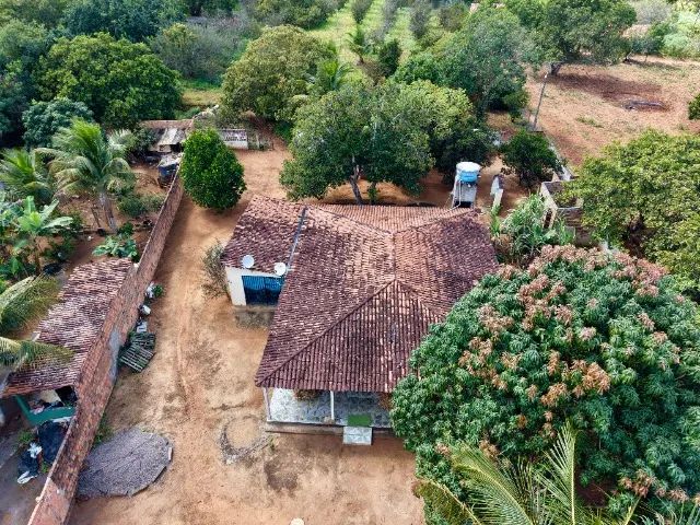 Sítio com casa e fruteiras próximo à Serra das Pias em Palmeira dos Índios - Foto 2