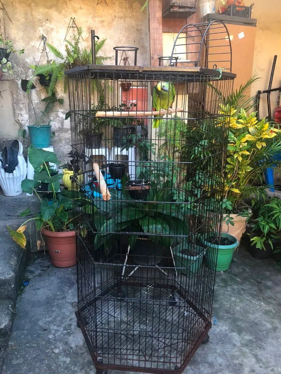 Gaiola 