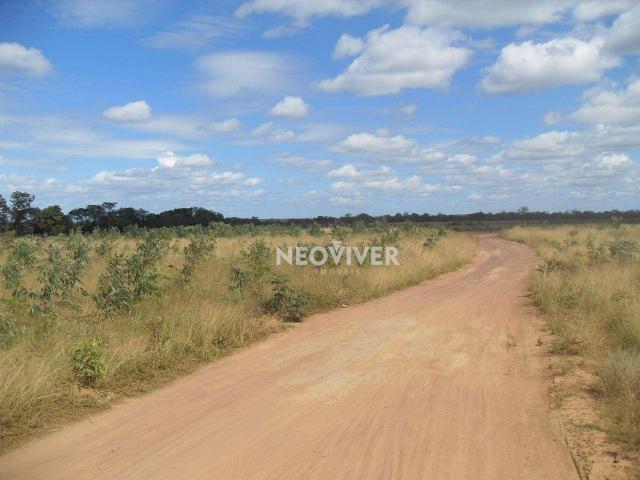 Fazenda campo belo! - Foto 8