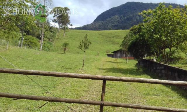 Sítio à venda em Alto cedros, Rio dos cedros cod:5975 - Foto 16