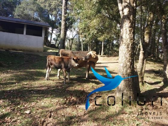 Chácara pronta para moradia ou lazer de porteira fechada. - Foto 13