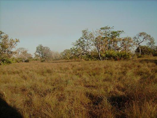 4000 Alqueires, Pecuária, Lavoura, Turismo,Cocalinho-MT, Troca Imóveis SP, MG, PR - Foto 3