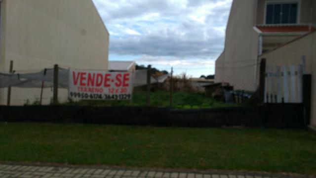 Vende-se terreno araucaria - Foto 2