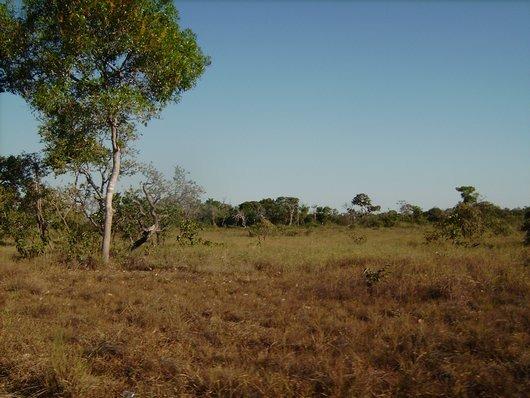 4000 Alqueires, Pecuária, Lavoura, Turismo,Cocalinho-MT, Troca Imóveis SP, MG, PR