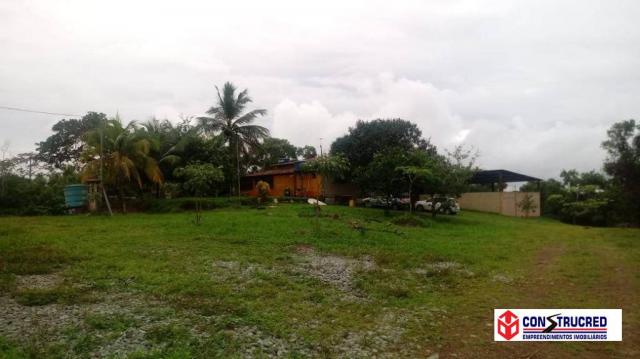 Área industrial com 3.000 m² - Foto 4