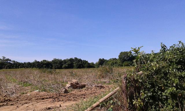 Vendo fazenda com 32 alqueres - Foto 5