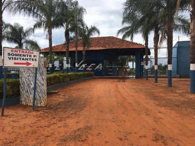 Sítio à venda em Engenheiro taveira, Aracatuba cod:V72161 - Foto 20