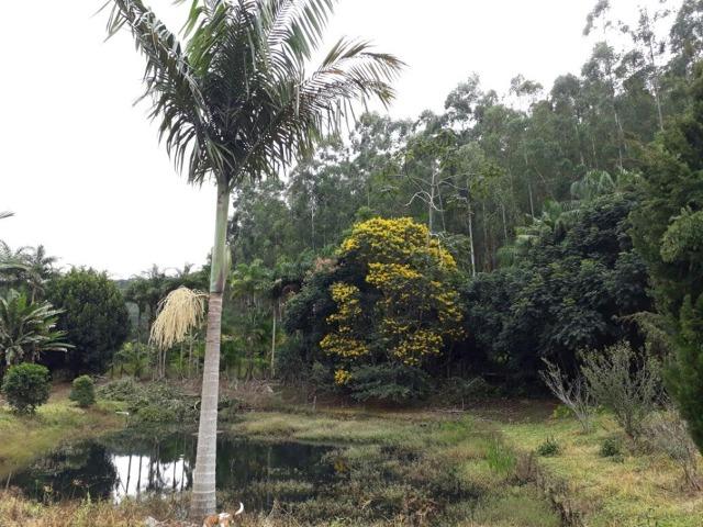 Linda chácara 3.000² a 7 km do trevo de Fazenda do Estado e 15km de Pedra Azul D.M.!! - Foto 12