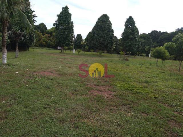 Chácara à venda, 20 hectares por r$ 1.500.000 - br-343 - altos/pi - Foto 9