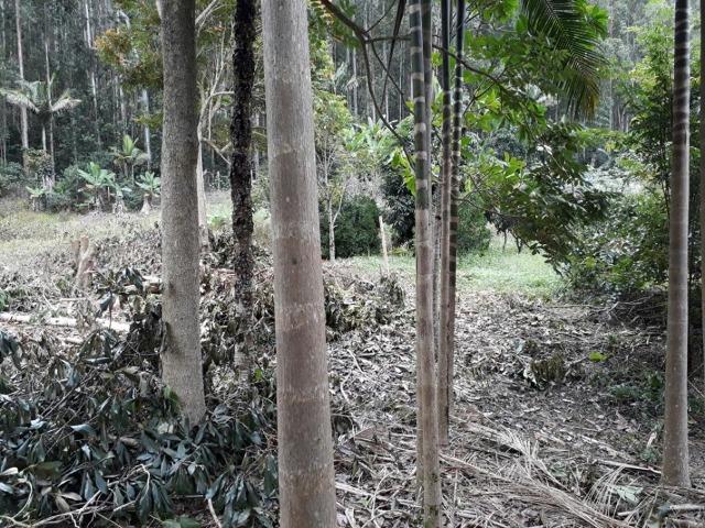 Linda chácara 3.000² a 7 km do trevo de Fazenda do Estado e 15km de Pedra Azul D.M.!! - Foto 8