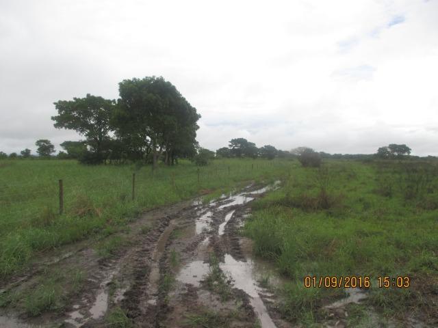 Fazenda na região do abobral,pra venda e arrendamento.2,800 ha - Foto 4