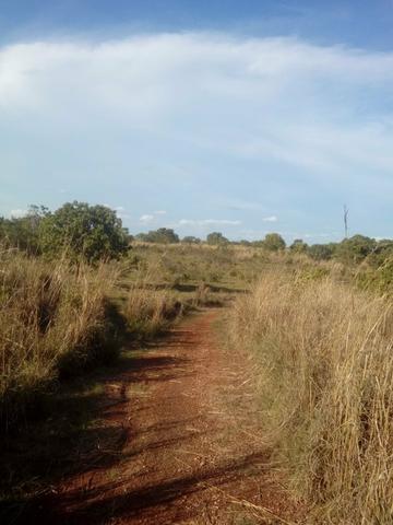 Barra do Garca MT - Foto 2