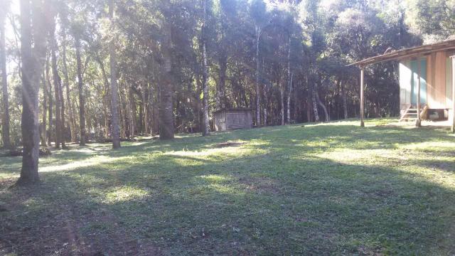 Vende se Chácara (16km do Centro de Contenda) - Foto 7