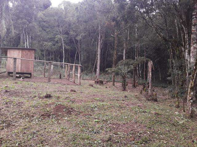 Vendo ou troco chácara documentada. - Foto 3