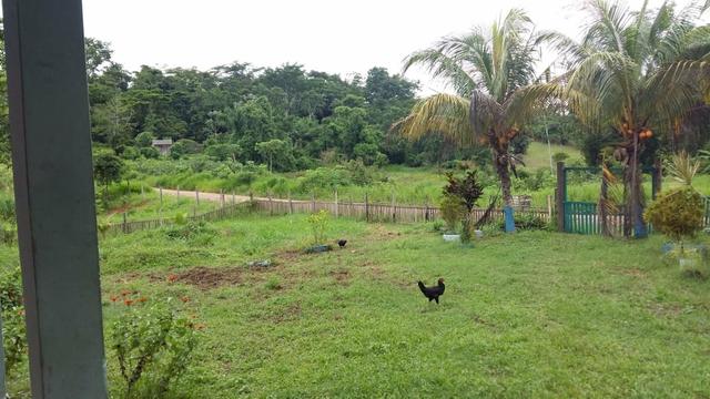 Vendo ou troco por casa em Rio Branco ou em colonia. - Foto 7