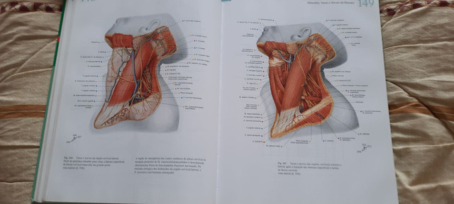 Atlas de Anatomia Humana Sobotta - Foto 3