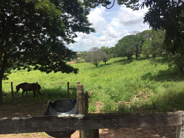 Fazenda 86 hec de área com ótima topografia, piscina em Inimutaba/MG - Foto 7