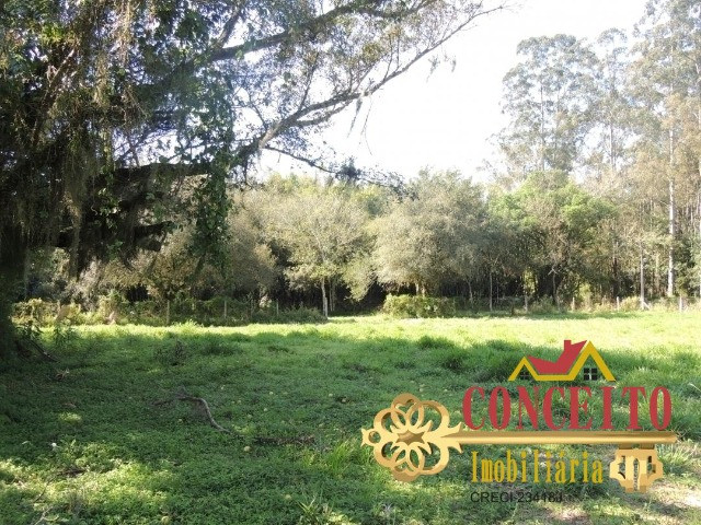 Excelente propriedade com 38.000m² de frente para rua pavimentada - confira - Foto 8