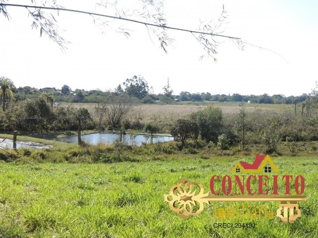 Excelente propriedade com 38.000m² de frente para rua pavimentada - confira - Foto 11